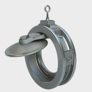 Swing check single door