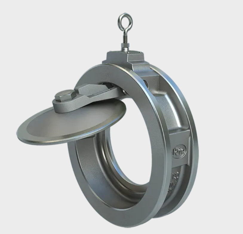 Swing check single door